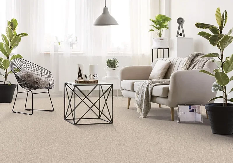 Stardom-PZ062-00532-Koala-RM-H-landscape Carpet Flooring | The L & L Company