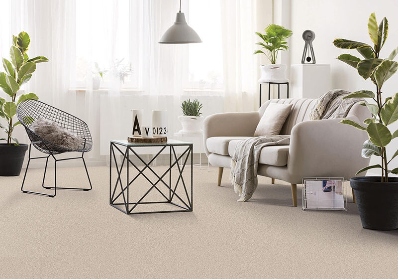 Carpet flooring in living room | The L&L Company