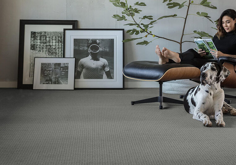 Dog and Woman on Chair in carpeted modern room with large photographs | The L&L Company